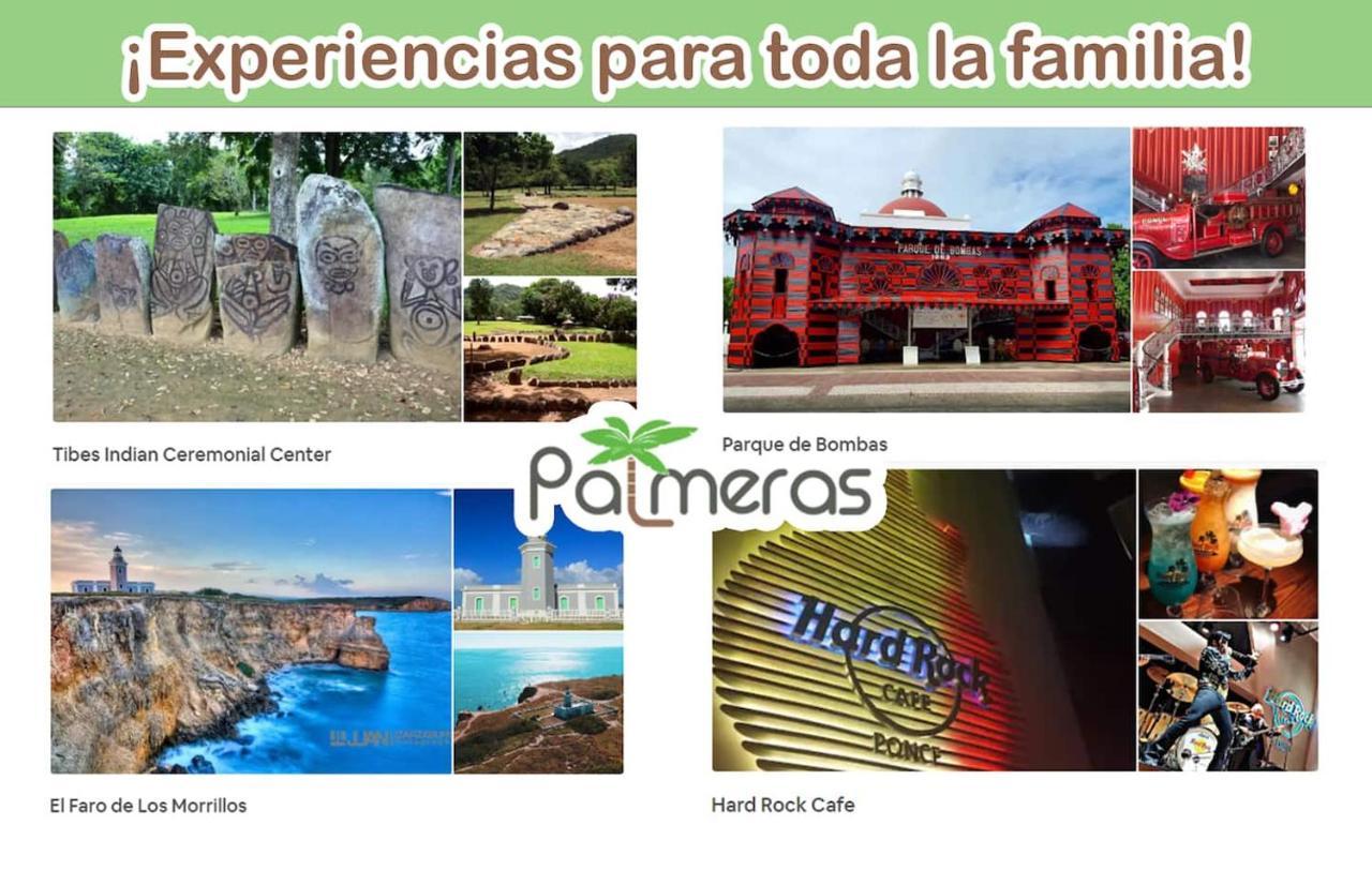 Palmeras Beach Apartments - Playa Santa Guanica Dış mekan fotoğraf